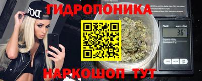2c-b Камышлов