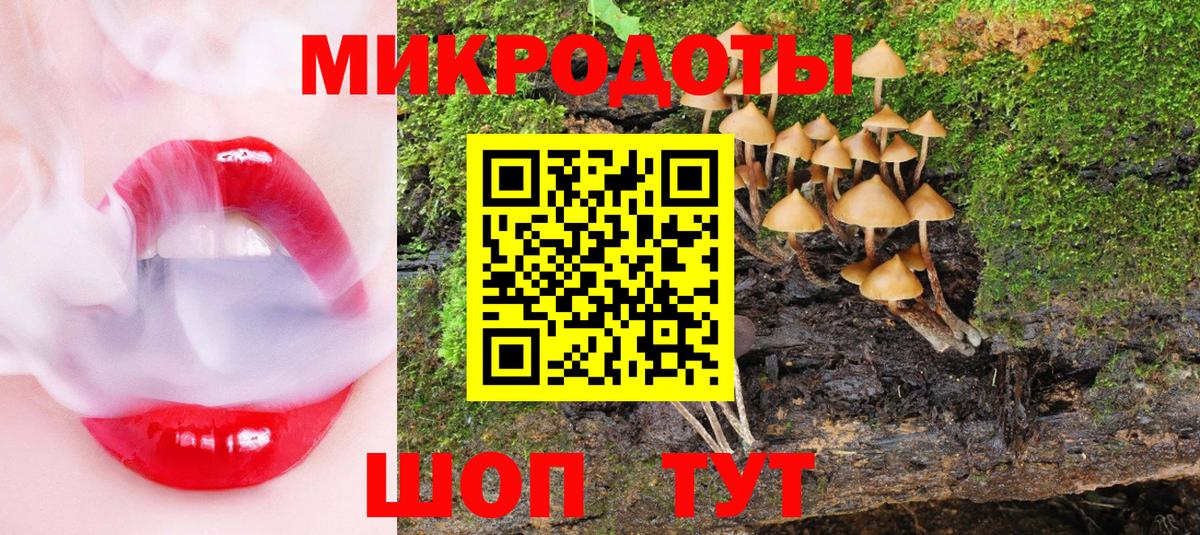 Псилоцибиновые грибы прущие грибы Лесной
