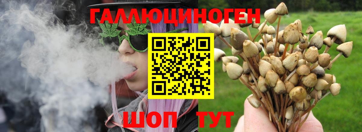 Галлюциногенные грибы GOLDEN TEACHER  Вход с VPN  Лесной 